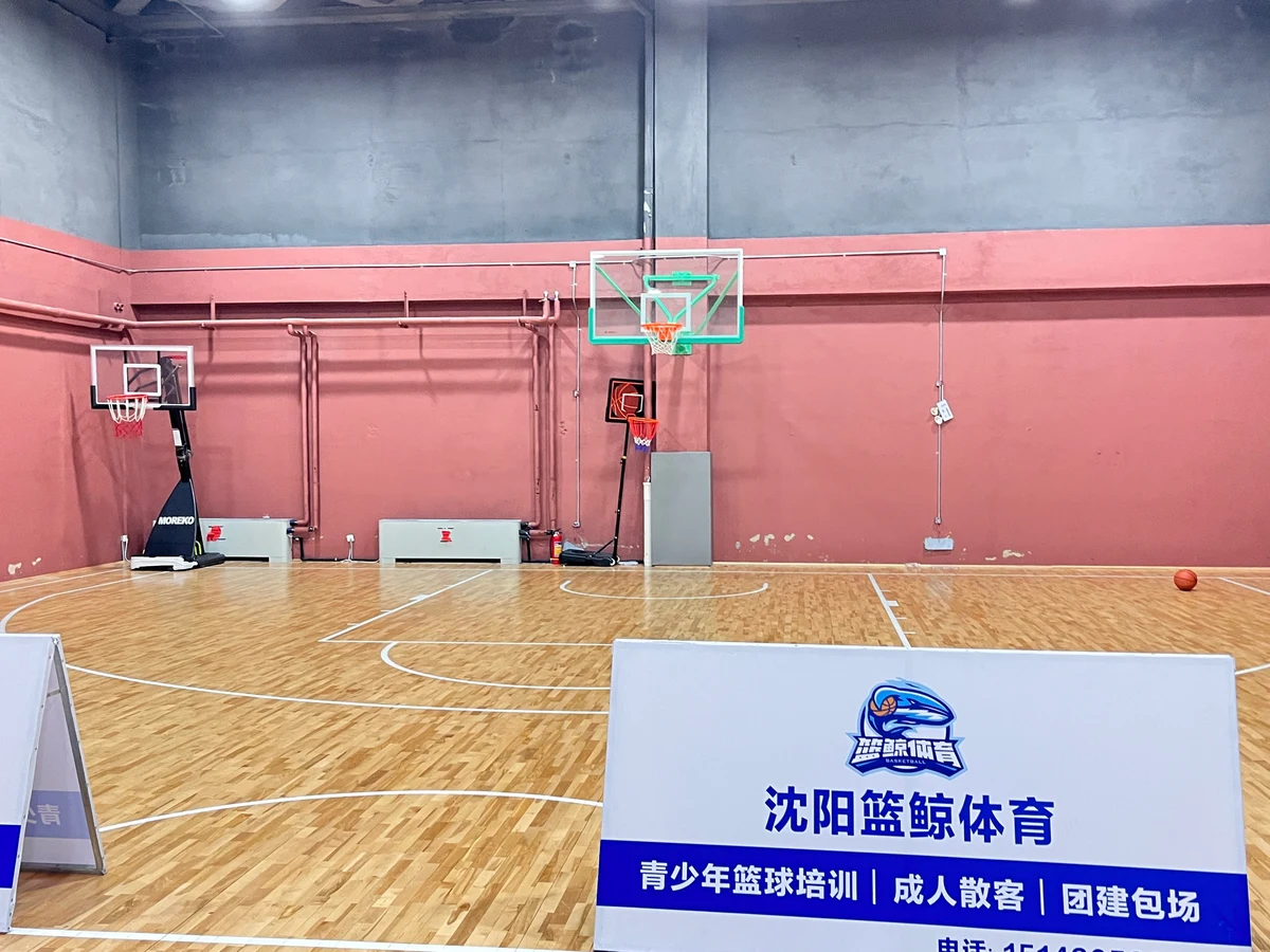 哪里有针对业余爱好者的篮球训练策略_0